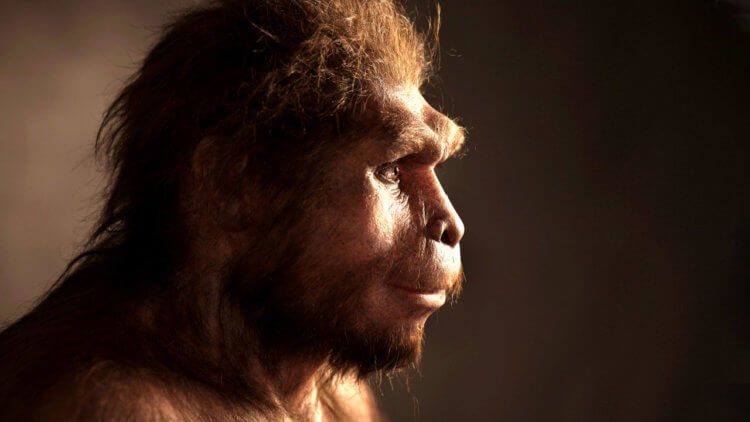 Действительно ли человек произошёл от обезьяны?