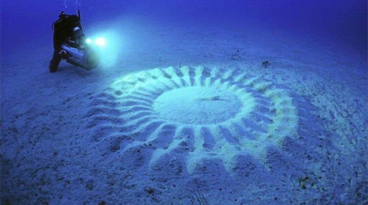 Учёные разгадали загадку таинственных кругов на дне морском