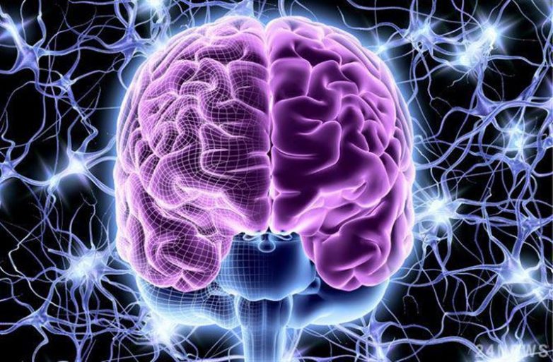 6 научных фактов о мозге, знание которых поможет вам улучшить свою жизнь