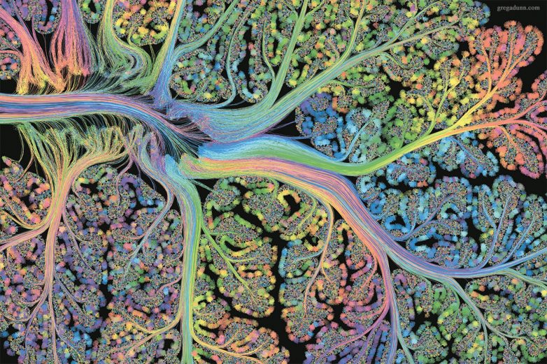 Графический процессор головного мозга: ода мозжечку