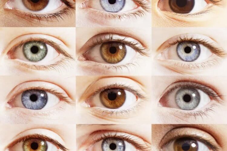 Почему глаза у людей разного цвета?