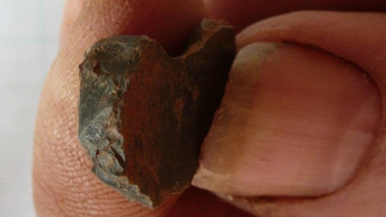 Археологи обнаружили древнее жилище человека с инструментами и костром