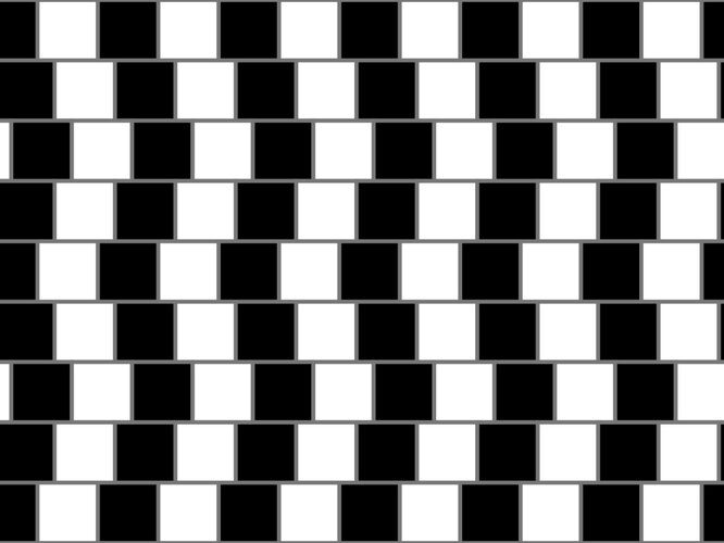 Оптическая иллюзия, которая сломала мозг пользователям интернета