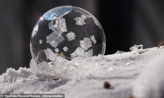 Как замерзают мыльные пузыри и что в этом необычного? Объясняют физики