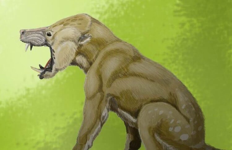 Почему древнего зверя нарекли в честь персонажа из «Хоббита»?
