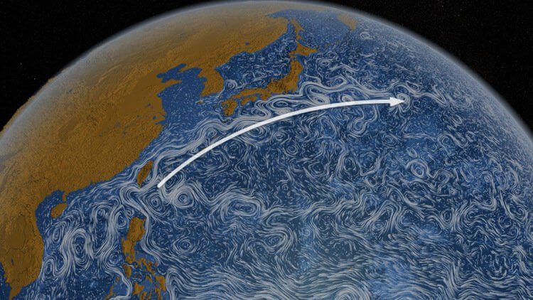 Океаническое течение Куросио может «переехать» на север