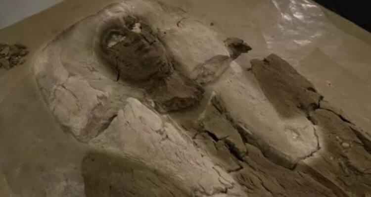 В Египте найдена мумия принцессы