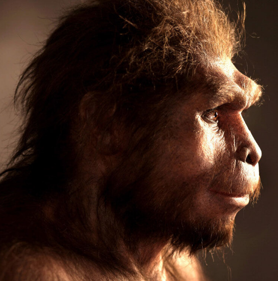 10 увлекательных фактов о представителях древней фауны
