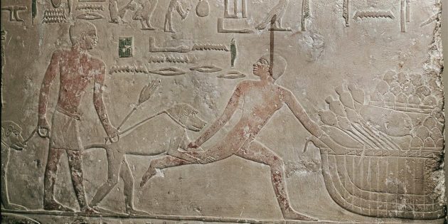 11 фактов о Древнем Египте, которые не рассказывают в учебниках истории