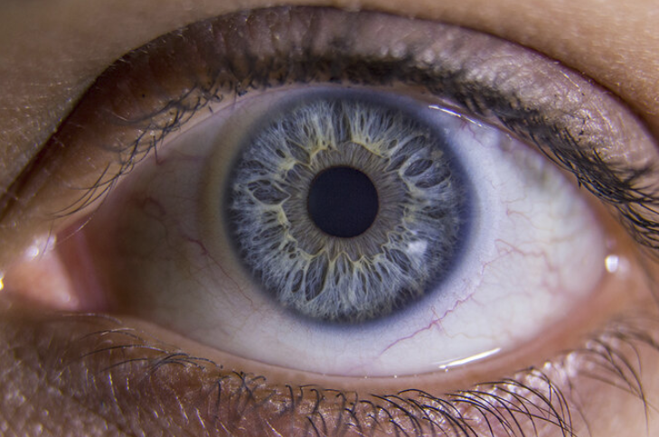 Учёные открыли способность белков глаза самовосстанавливаться