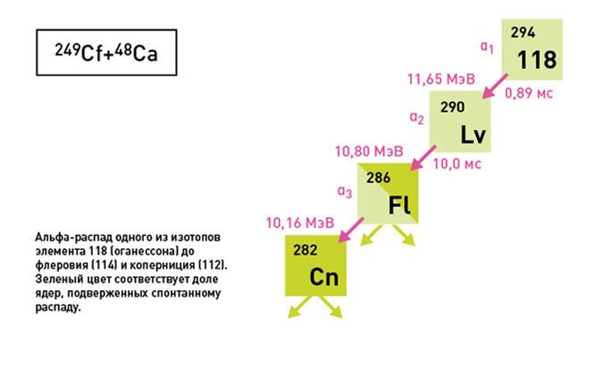 Трансуровневые химические элементы, которые обитают за пределами периодической таблицы