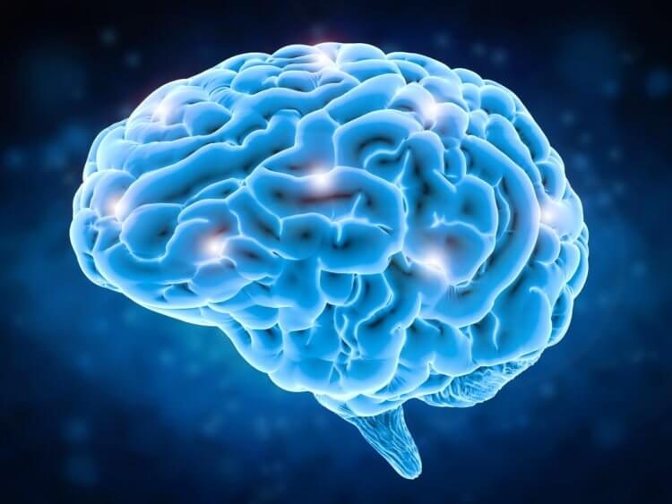 Воздействует ли медитация на наш мозг: мнение учёных
