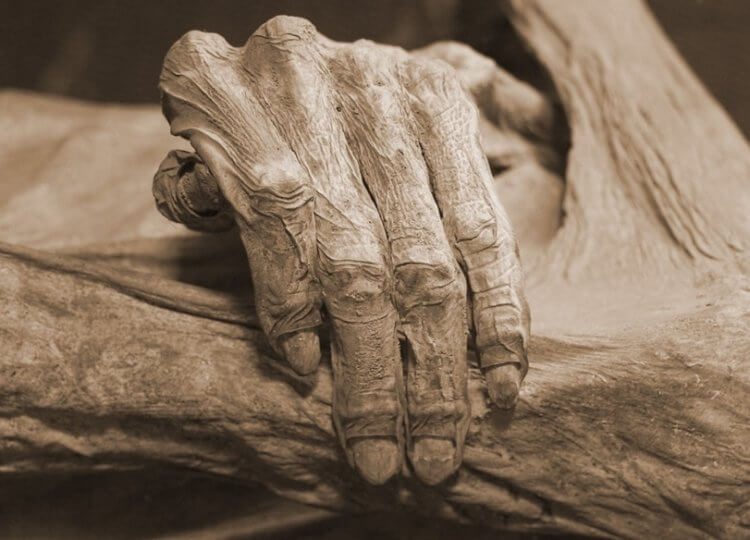 Костлявая рука голода: зачем европейцы поедали египетские мумии?