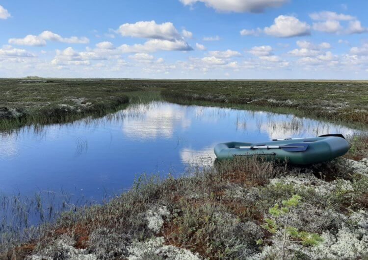 На Аляске образуются новые озёра, которые тревожат экологов