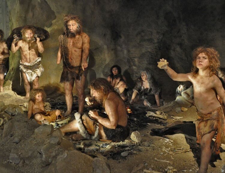 Как ощущали запахи наши предки — неандертальцы и денисовцы