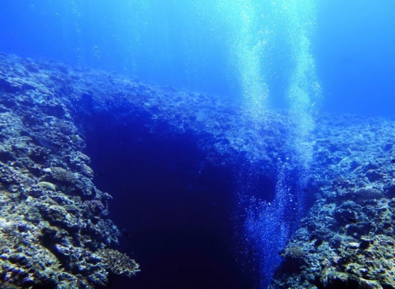 15 впечатляющих фактов об океане