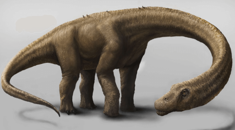Какой была продолжительность жизни динозавров