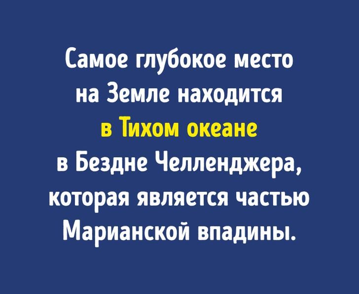 13 вопросов, которые покажут, насколько широк ваш кругозор