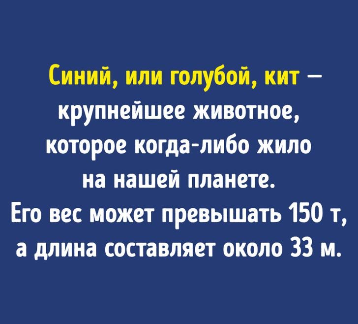 13 вопросов, которые покажут, насколько широк ваш кругозор