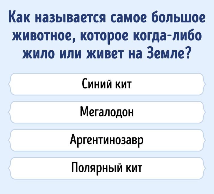 13 вопросов, которые покажут, насколько широк ваш кругозор