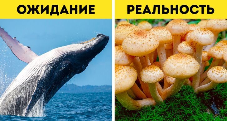 8 научных фактов, которые переворачивают наши представления о привычных вещах