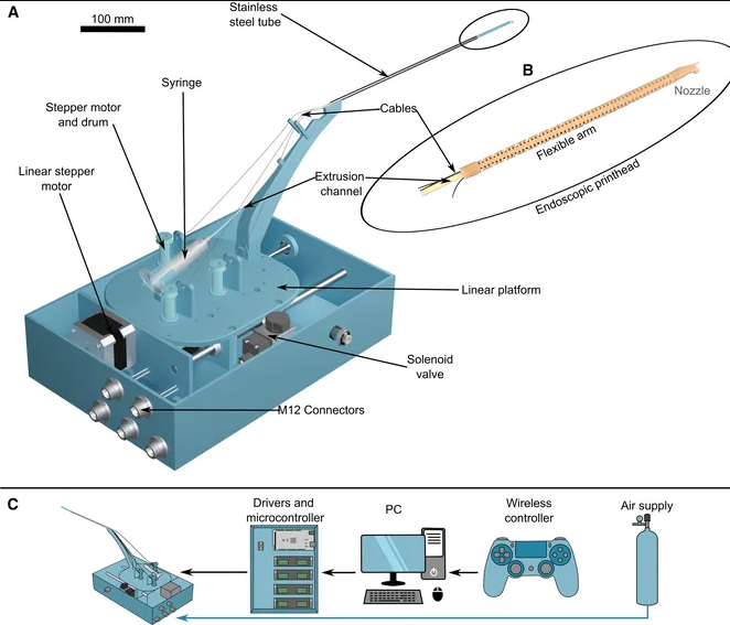 Создан самый миниатюрный 3D-биопринтер для восстановления голосовых связок. Напечатать голос