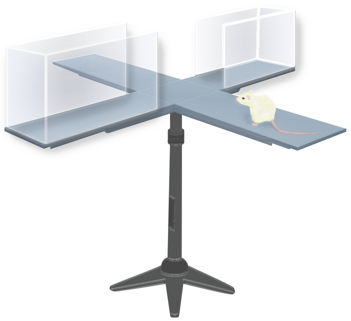 Воля меняет характер мышей