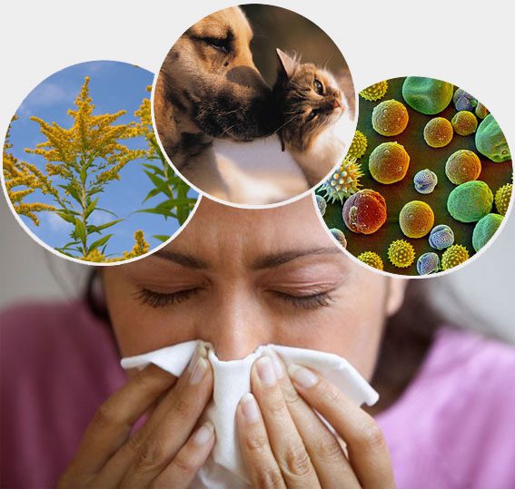 АСИТ-терапия от аллергии