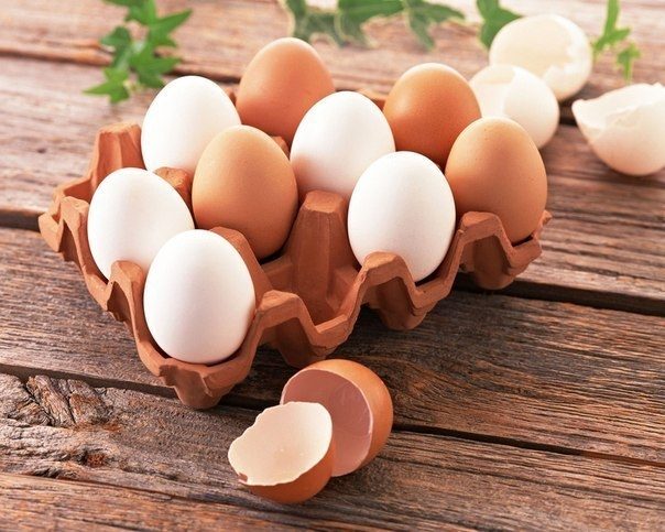 Чем полезны различные виды яиц?
