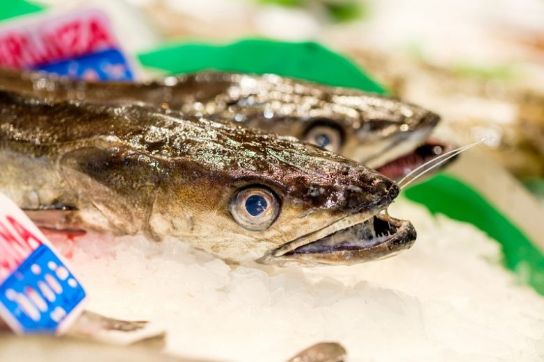 10 видов рыбы с высоким содержанием ртути