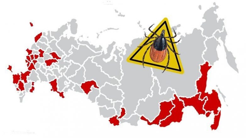 Самые опасные регионы России, где вас скорее всего укусят клещи на праздниках