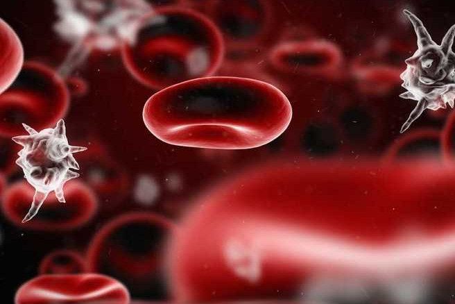 9 симптомов скрытого заражения крови, которые не стоит игнорировать