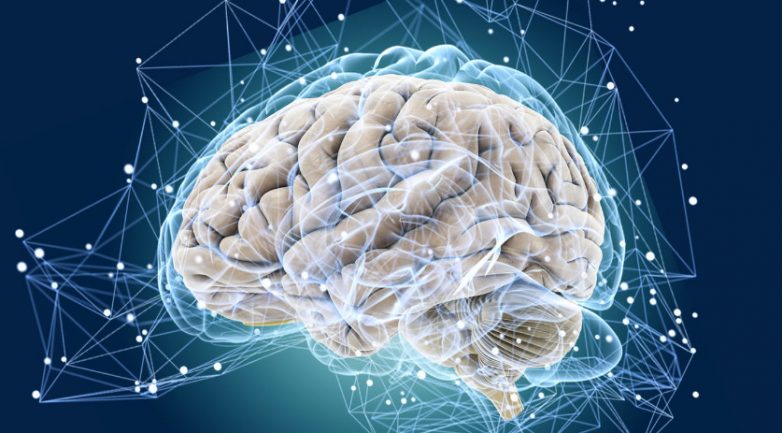33 интересных факта о человеческом мозге, которые вы не знали!