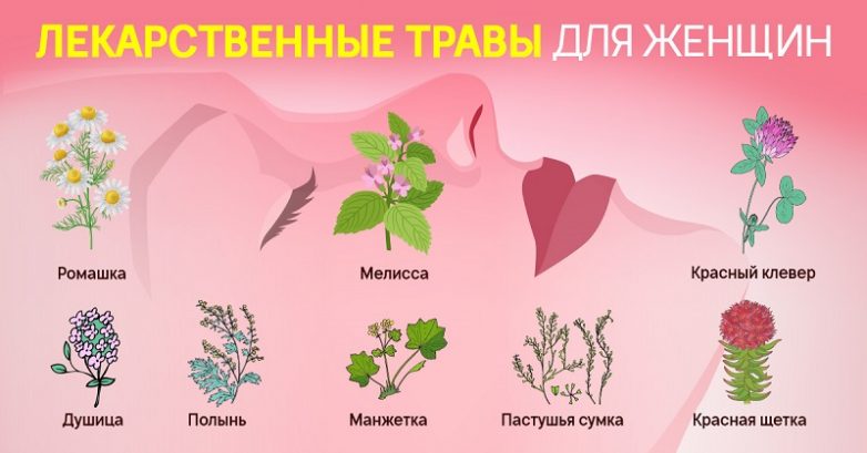 Травы для женского здоровья