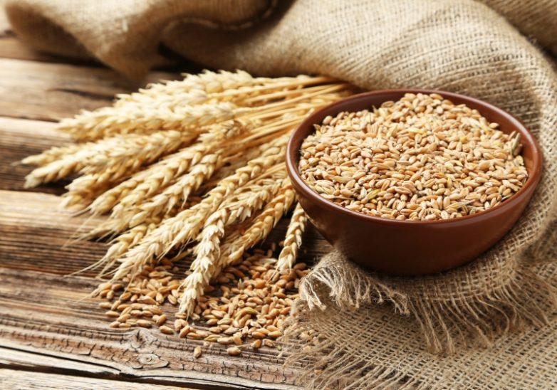 Почему необходимо срочно отказаться от пшеницы