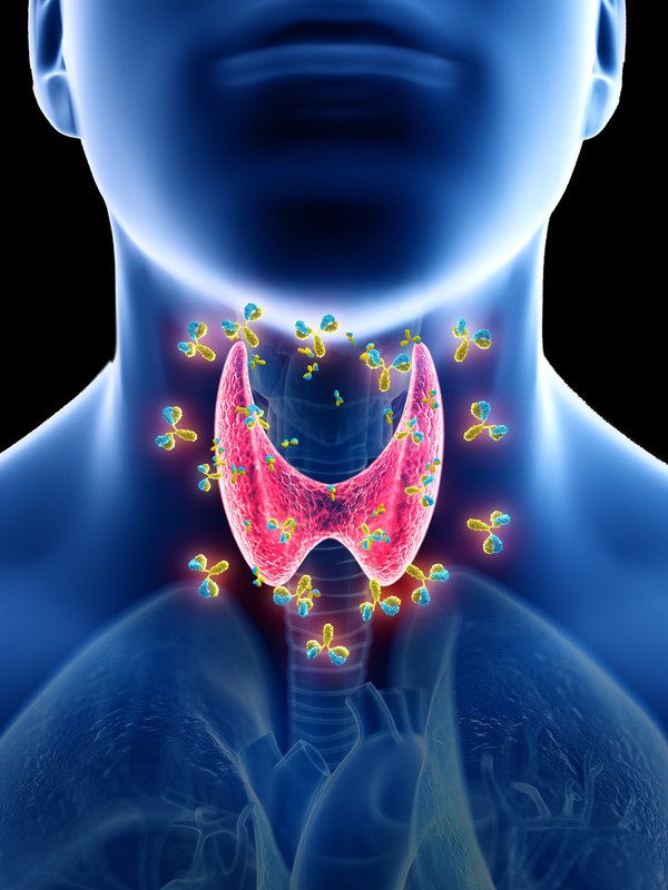 Признаки проблем со щитовидной железой