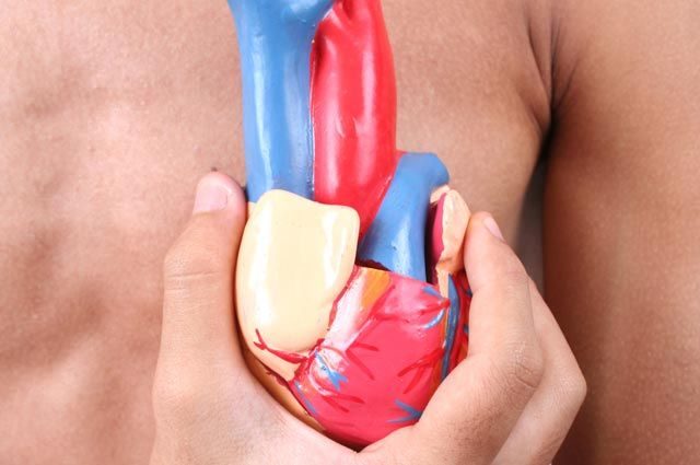 Как омолодить сердечную мышцу