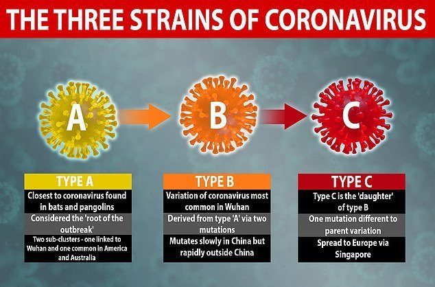 Типы коронавируса