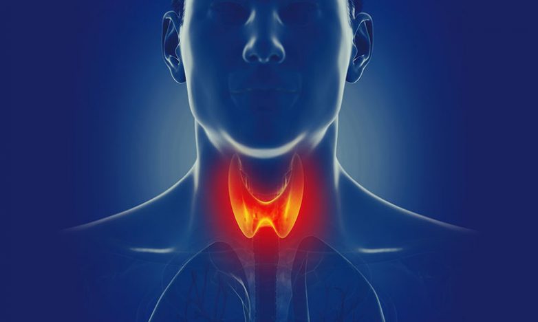 Точки, которые оздоравливают щитовидную железу