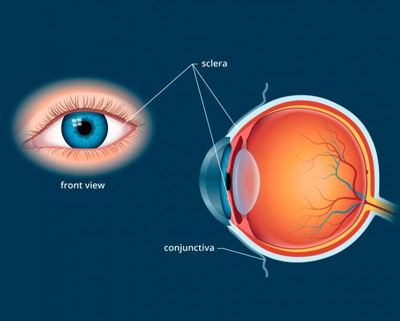 Как сохранить здоровье глаз на долгие годы