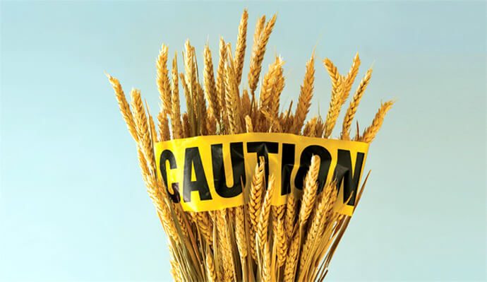 Как пшеница влияет на здоровье