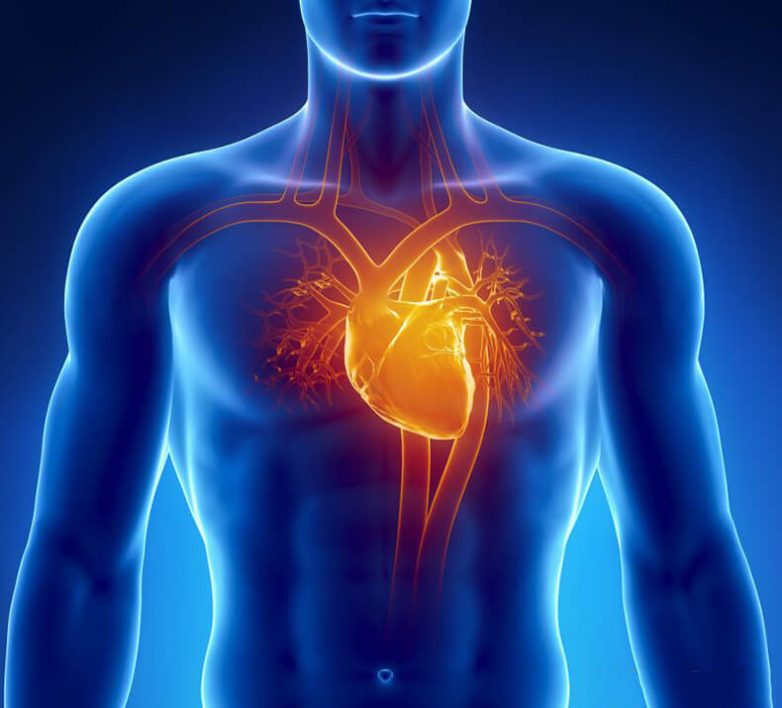 Тест на здоровье вашего сердца