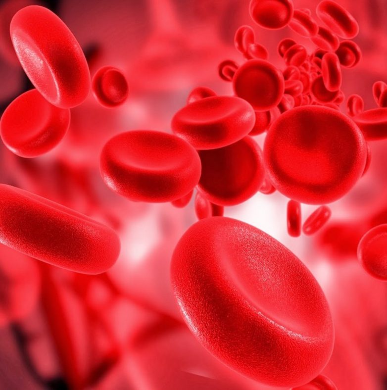 Важные моменты, о которых расскажет ваша группа крови