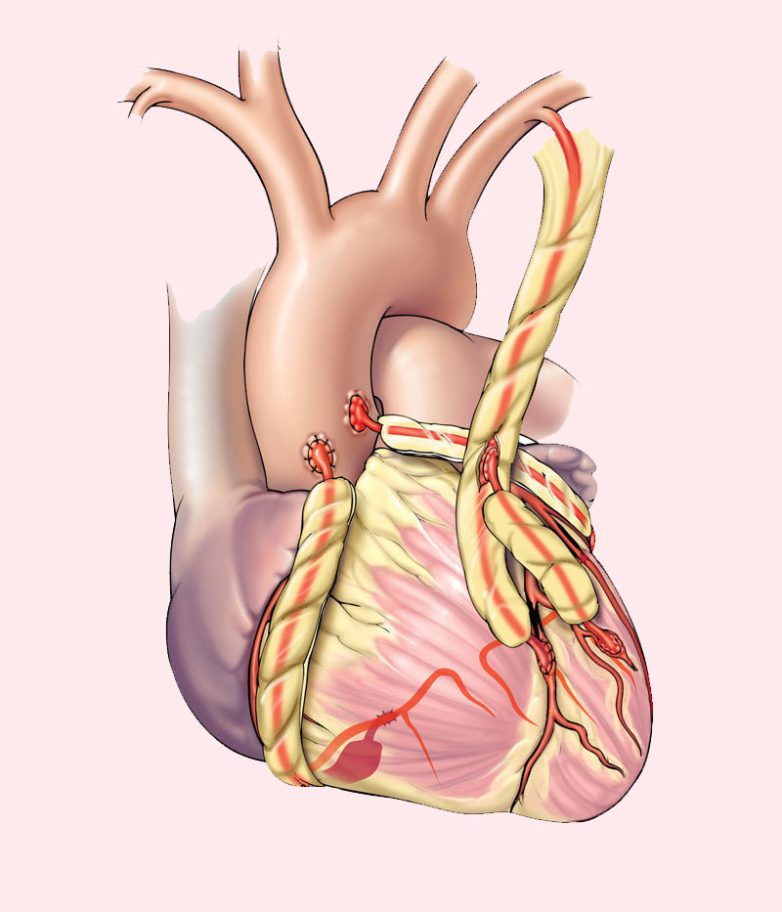9 подсказок организма о проблемах с сердцем