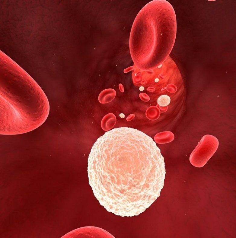Почему показатель лейкоцитов в крови необычайно важен?
