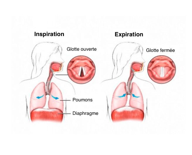 Оздоровительная дыхательная техника для кардиореспираторной системы. Уджай