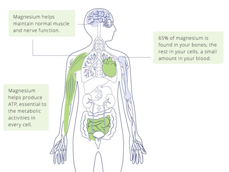 Зачем вашему организму магний?