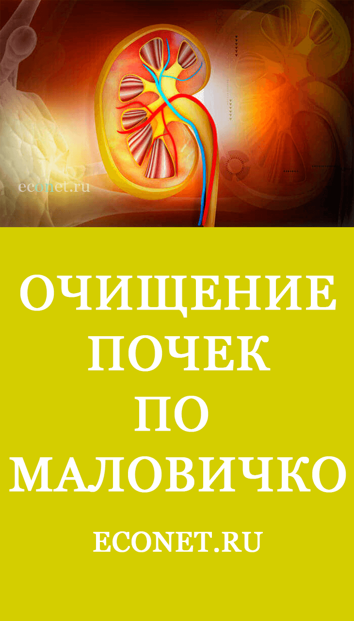 Очищаем почки по Маловичко