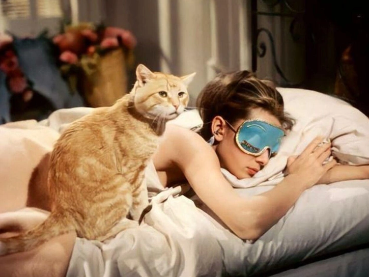 Что сны могут рассказать о вашем эмоциональном состоянии?