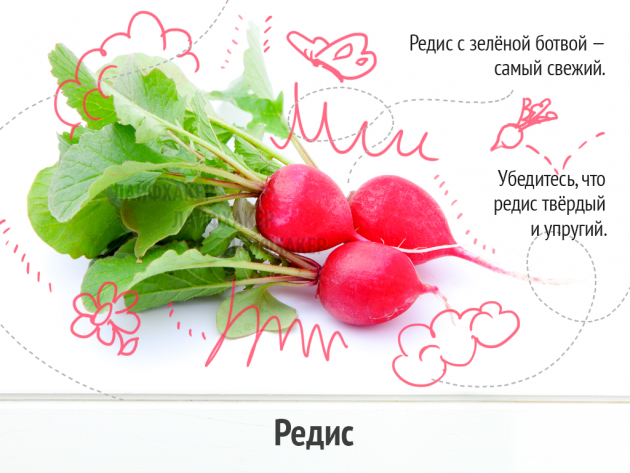 Как выбрать самые свежие овощи, ягоды и зелень